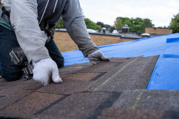 Best Roof Waterproofing Services  in Marmet, WV